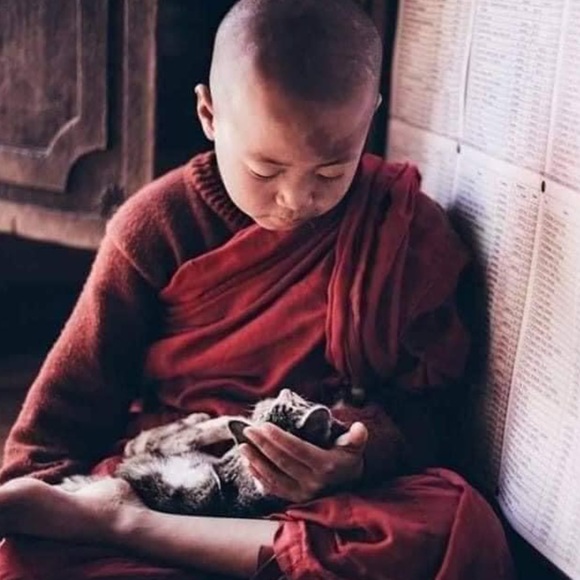 Worth sharing🌿 - Picture 3 of 12